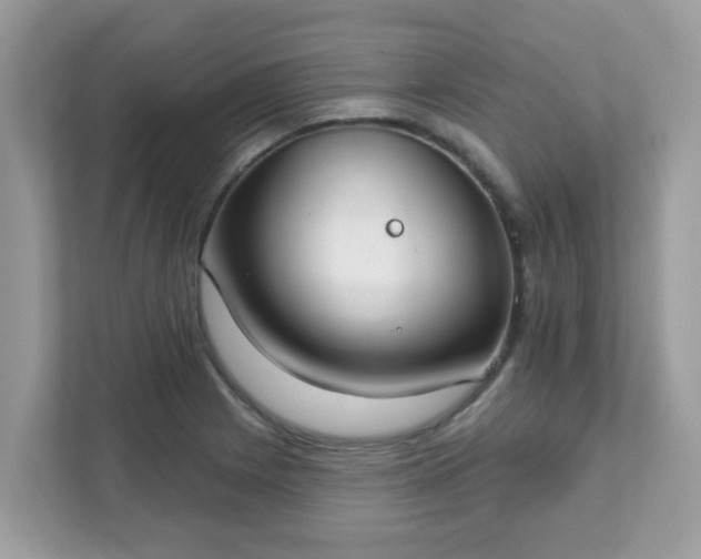 X0000111891225200907301151