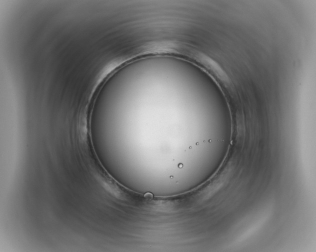 X0000111891226200907301151