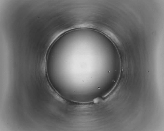 X0000111891228200907301151