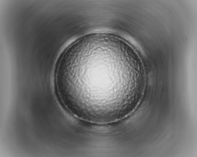 X0000111891229200907301151