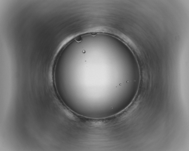 X0000111891230200907301151