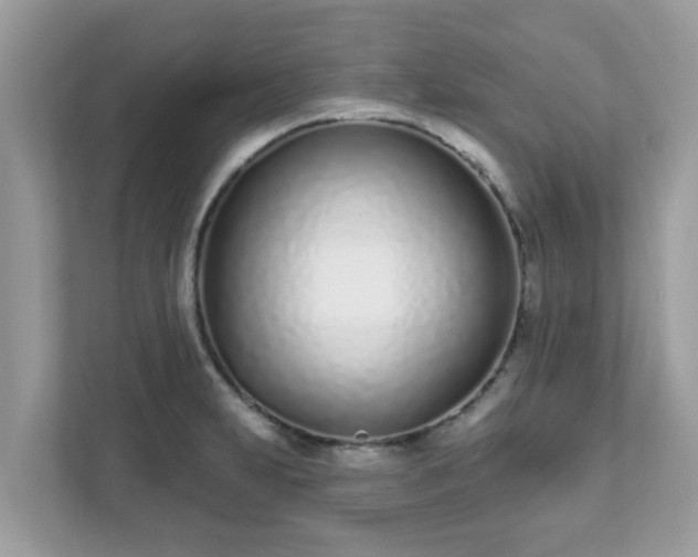 X0000111891231200907301151