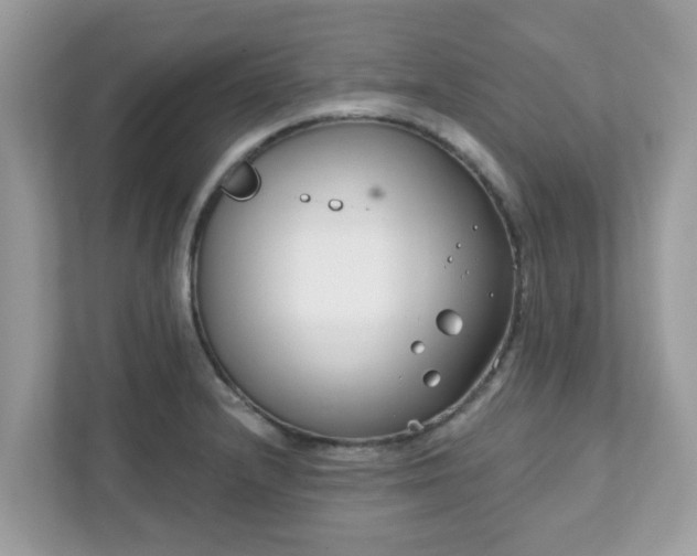 X0000111891232200907301151