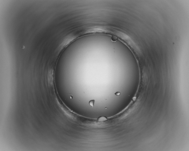 X0000111891233200907301151