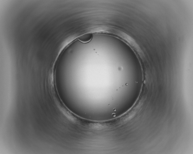 X0000111891234200907301151