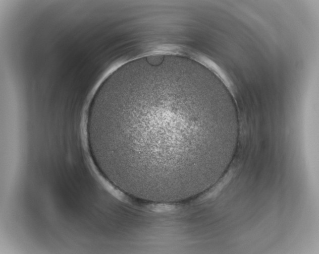 X0000111891235200907301151