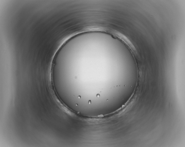 X0000111891236200907301151