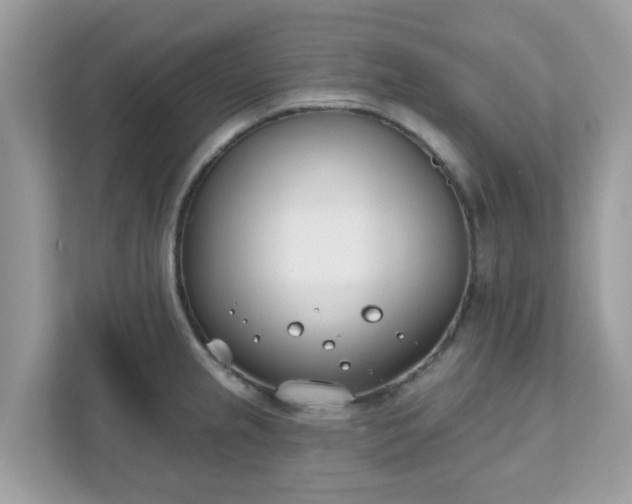 X0000111891237200907301151