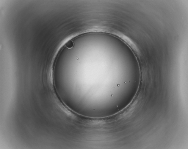 X0000111891238200907301151