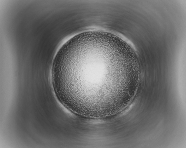 X0000111891239200907301151