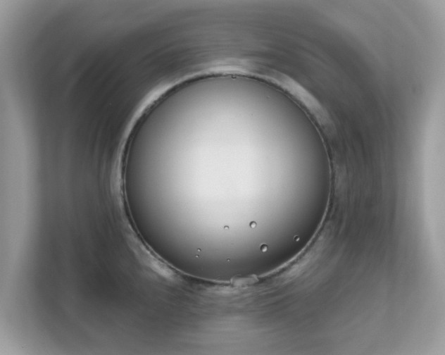 X0000111891240200907301151