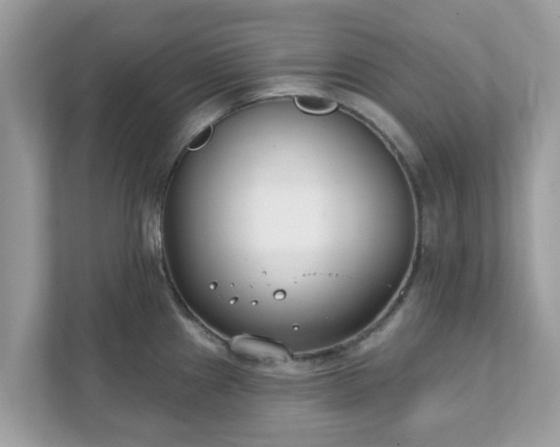 X0000111891241200907301151