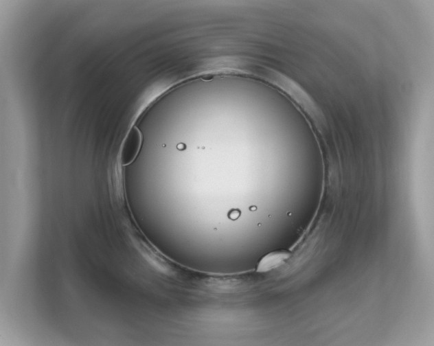 X0000111891242200907301151