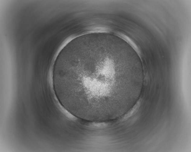 X0000111891243200907301151