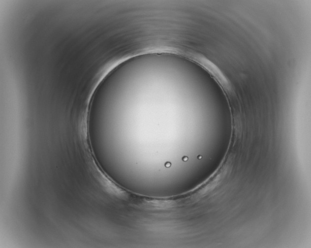 X0000111891244200907301151