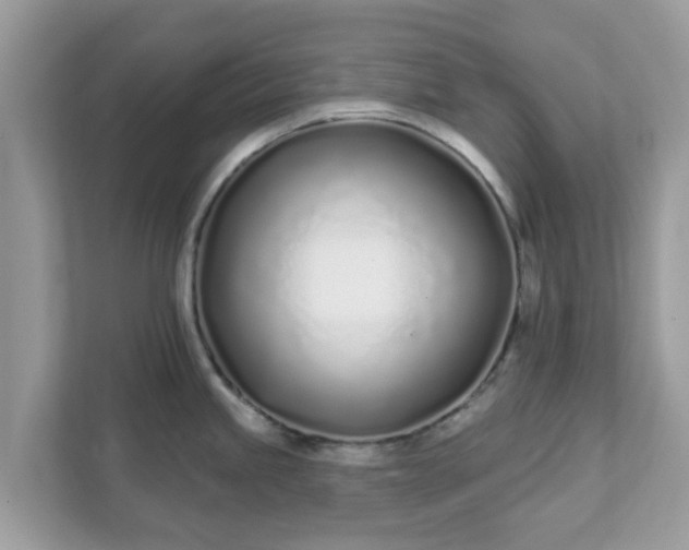 X0000111891245200907301151