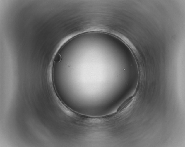 X0000111891246200907301151