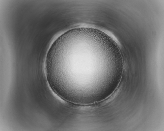 X0000111891247200907301151