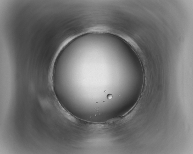 X0000111891248200907301151