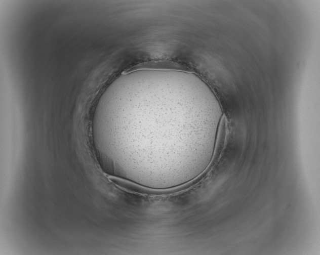 X0000111891249200907301150