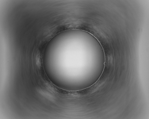 X0000111891250200907301150