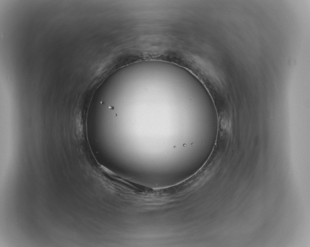 X0000111891252200907301150