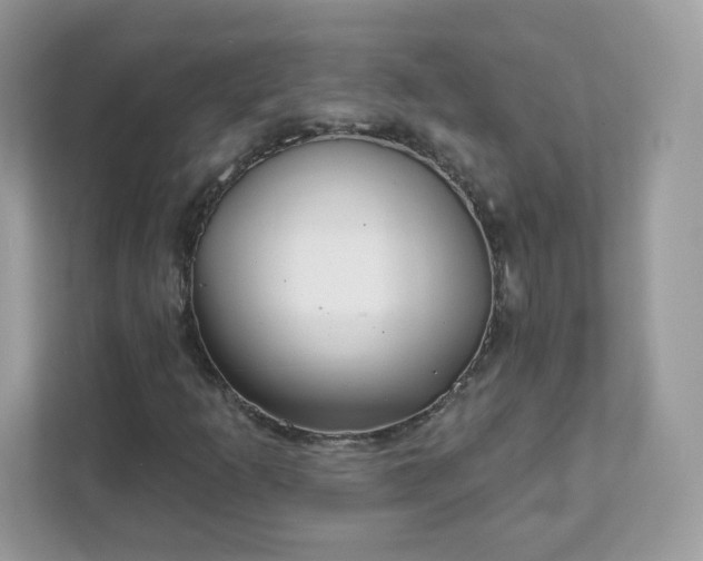 X0000111891253200907301150