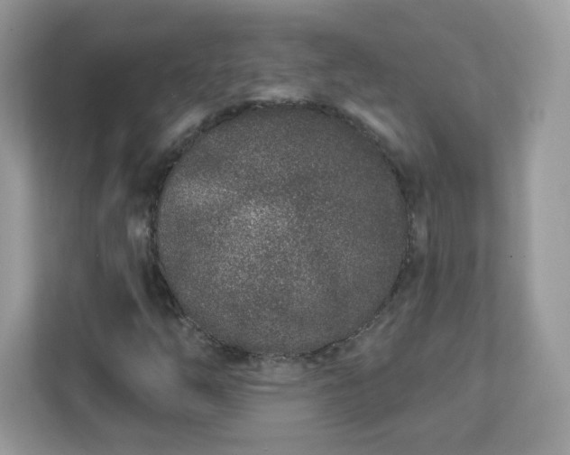 X0000111891254200907301150