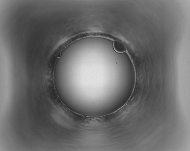 X0000111891255200907301150