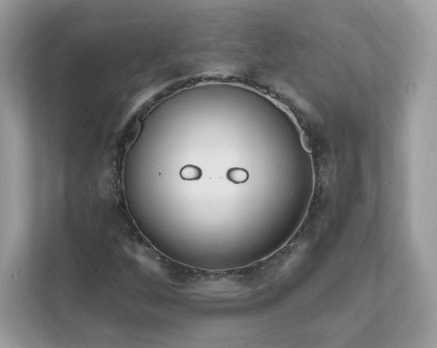 X0000111891256200907301150