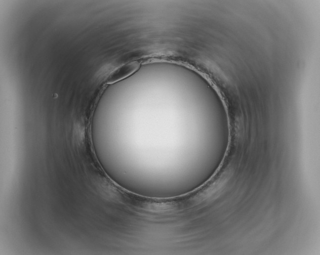 X0000111891257200907301150