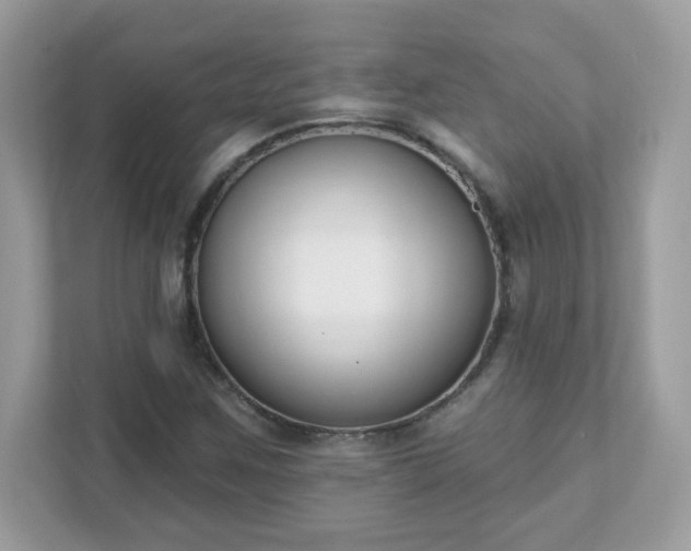 X0000111891259200907301150