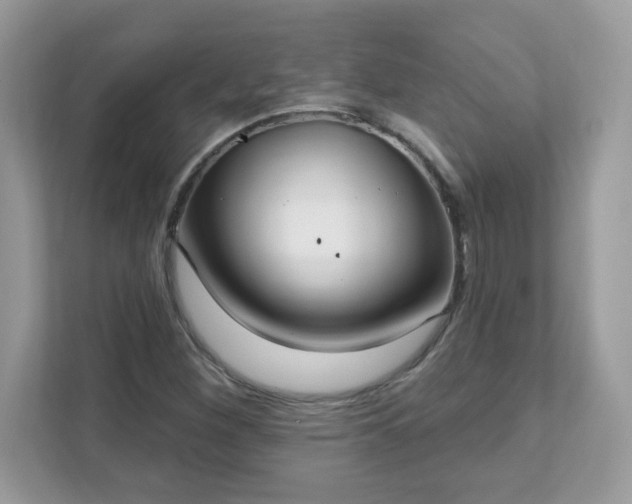 X0000111891260200907301150