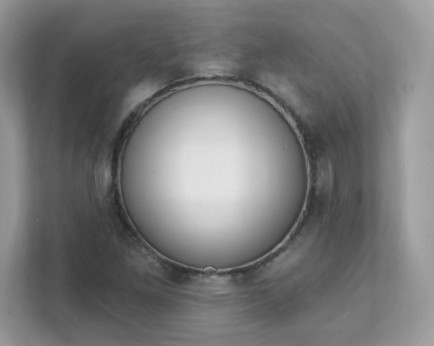 X0000111891261200907301150