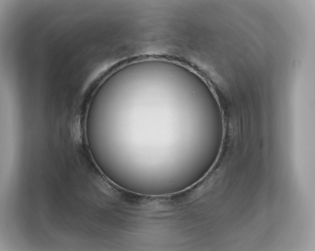 X0000111891262200907301150