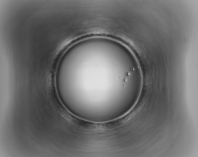 X0000111891263200907301150