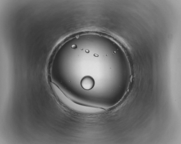 X0000111891264200907301150