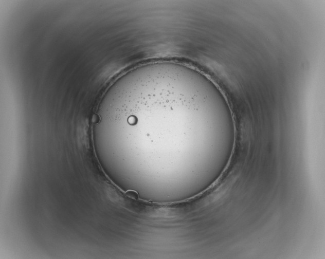 X0000111891265200907301150