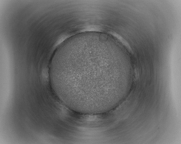 X0000111891266200907301150