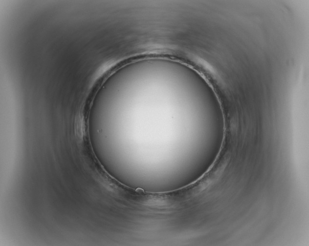 X0000111891267200907301150