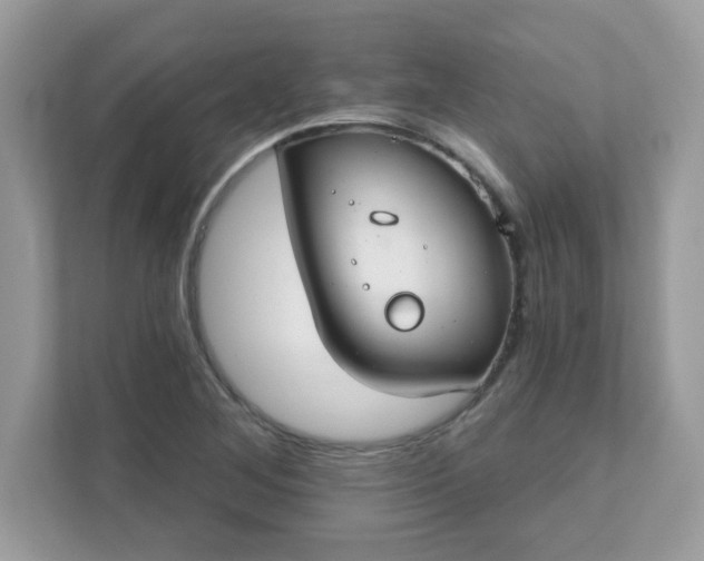 X0000111891268200907301150