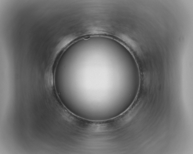 X0000111891269200907301150