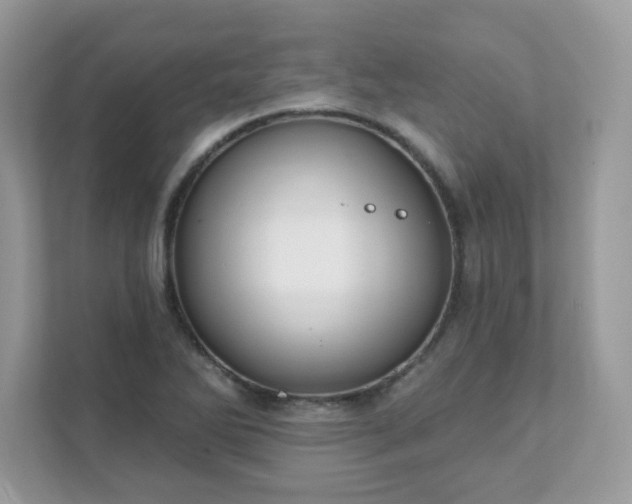 X0000111891270200907301150