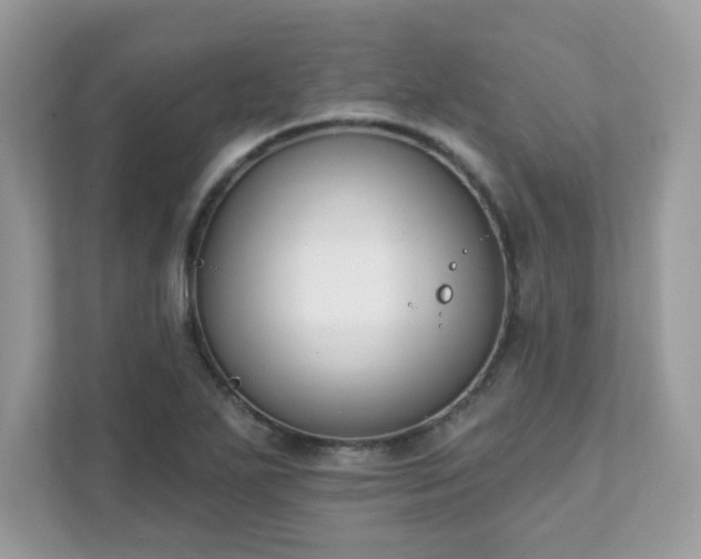 X0000111891271200907301150