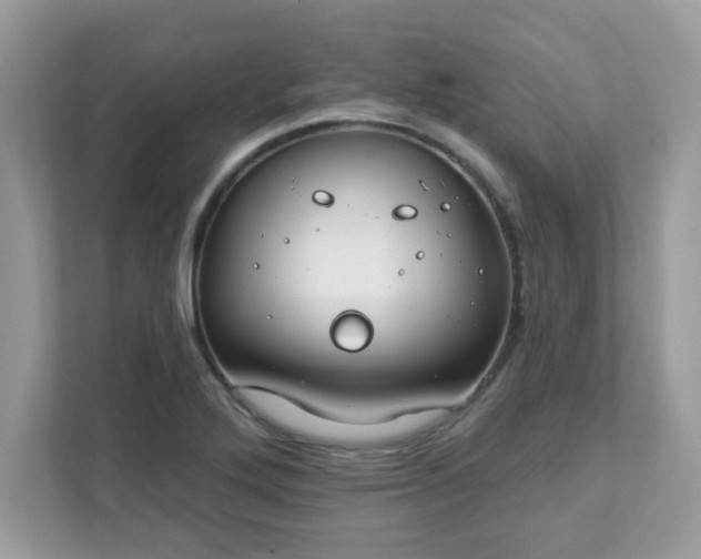 X0000111891272200907301150