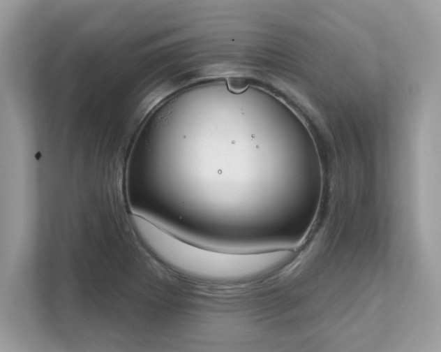 X0000111891273200907301150