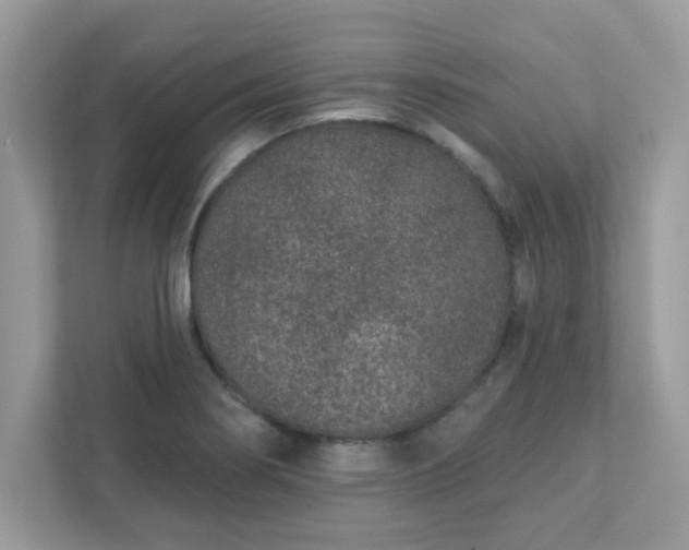 X0000111891274200907301150