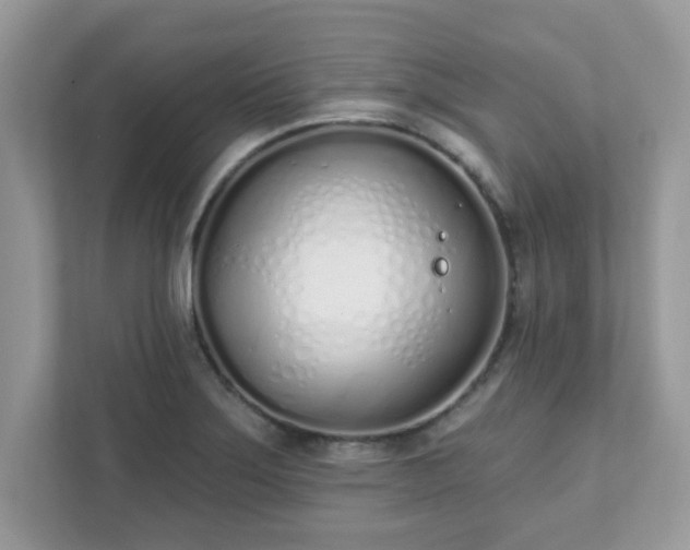 X0000111891275200907301150