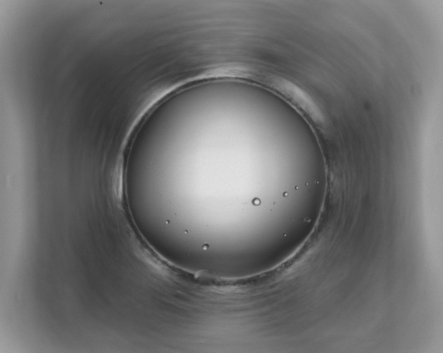 X0000111891276200907301150