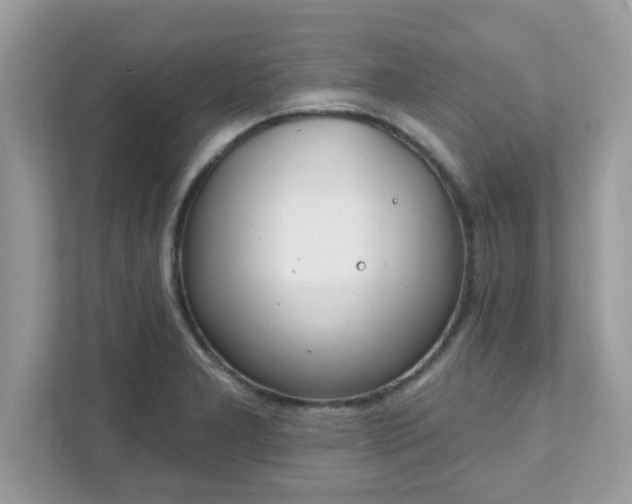 X0000111891277200907301150